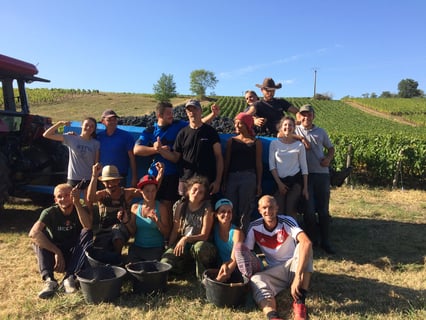 Château de Pierreclos_1