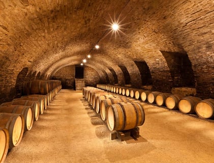 Château de Pierreclos_15