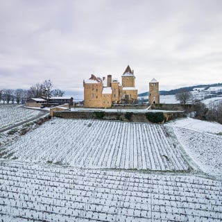 Château de Pierreclos_4