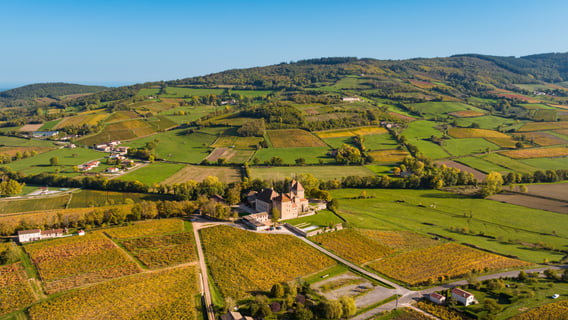 Château de Pierreclos_5