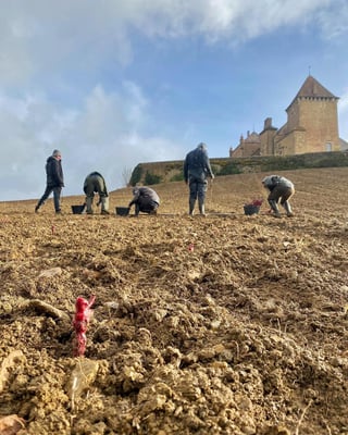 Château de Pierreclos_6