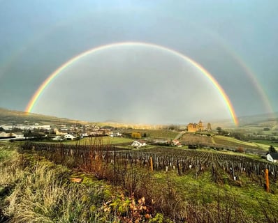Château de Pierreclos_7