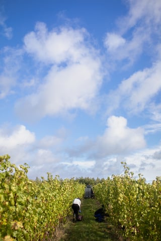 Château du Breuil_4