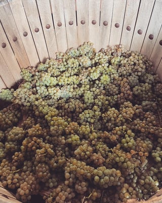 Château lIndécise_10