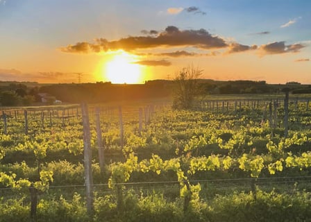 Château lIndécise_3