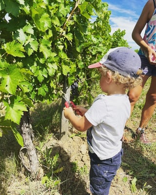 Château lIndécise_6