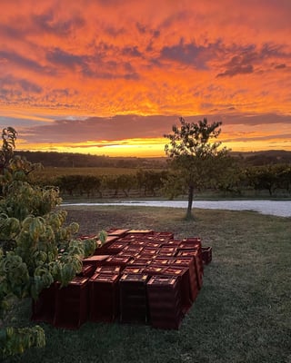 Château lIndécise_8