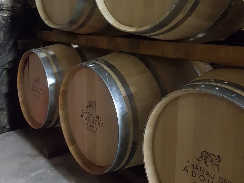 Châteaux des Adouzes (2)