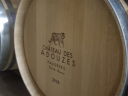 Châteaux des Adouzes (3)