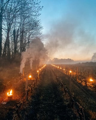 Chateau Bois de la Gravette_10