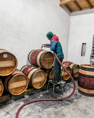 Chateau Bois de la Gravette_13