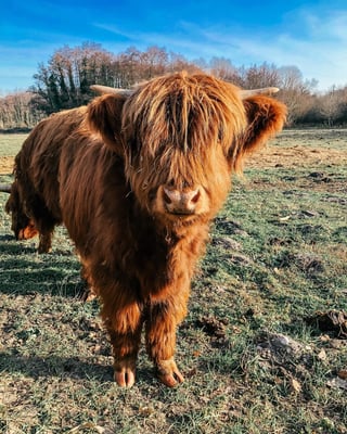 Chateau Bois de la Gravette_9