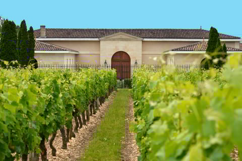 Chateau Grand Ormeau_2