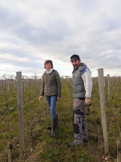 Chateau Grand Ormeau_4