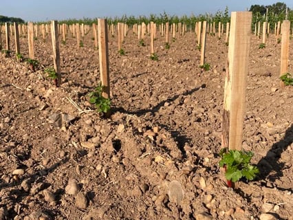 Chateau Grand Ormeau_5