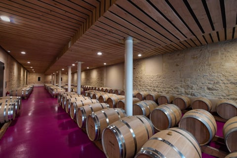 Chateau Tour Saint Fort_8