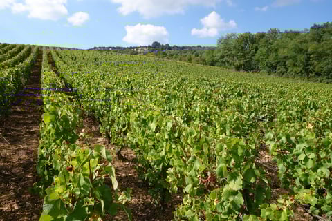 Christian Bergeret et Fille_1