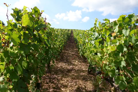 Christian Bergeret et Fille_2