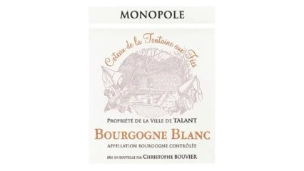 Christophe Bouvier Bourgogne Blanc Coteau de la Fontaine aux Fées-1