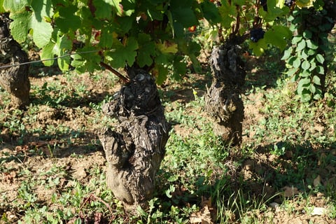 Christophe Bouvier_6