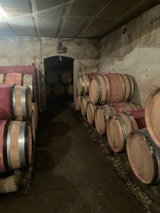 Christophe Chevaux_6