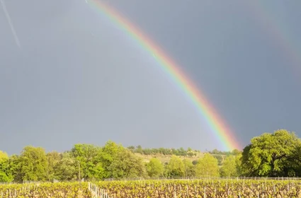 Clos Saint Georges_4happiness