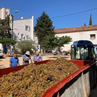 Clos Saint Georges_9