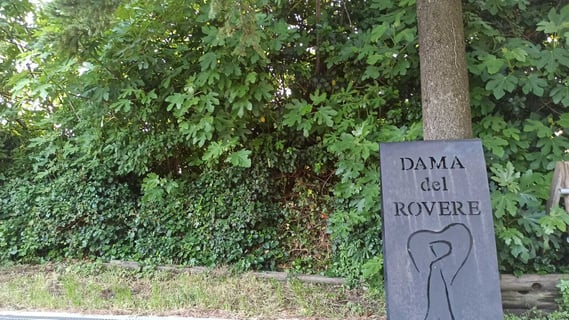 Dama del Rovere_2