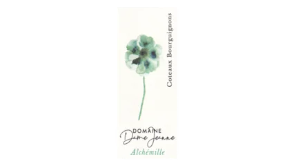 Dame Jeanne Alchémille Coteaux Bourguignons Blanc-1