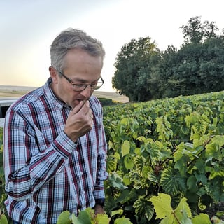 Delavenne Père & Fils_1