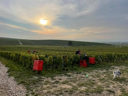 Delavenne Père & Fils_3