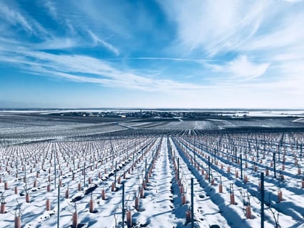 Delavenne Père & Fils_8