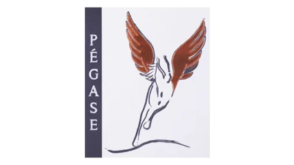 Divin Loire Pégase-2