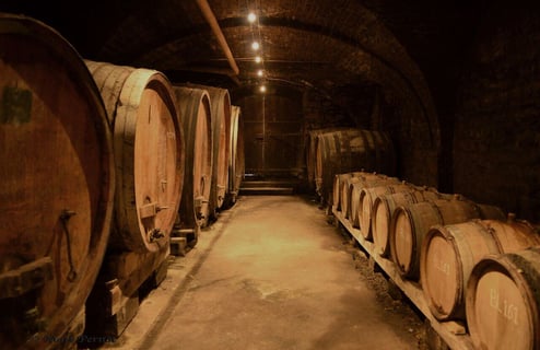 Domaine Baud Génération 9_8