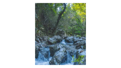 Domaine Blanc Plume GR-36 Blanc Plume-2