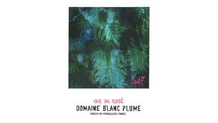 Domaine Blanc Plume GR-36 Rosé