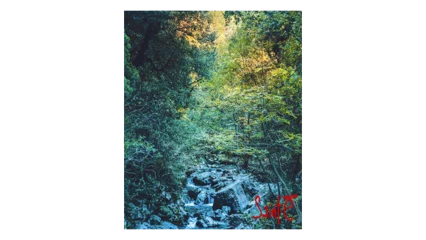 Domaine Blanc Plume GR-36 Rouge-3