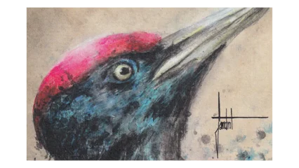 Domaine Blanc Plume Pic Noir Syrah-1