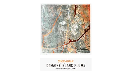 Domaine Blanc Plume Sporange