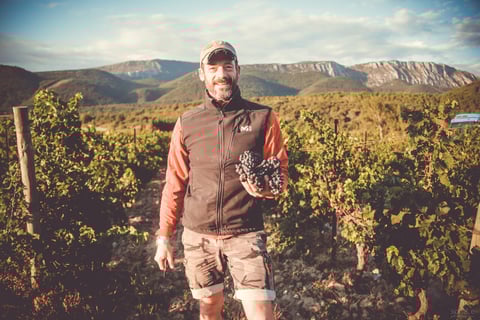 Domaine Blanc Plume_1