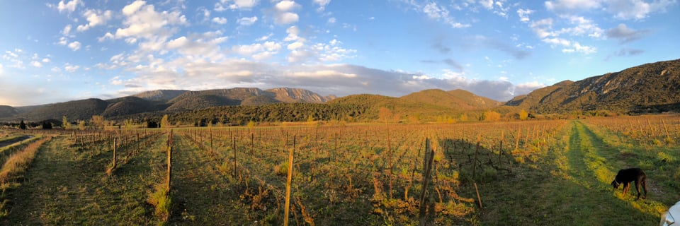 Domaine Blanc Plume_2