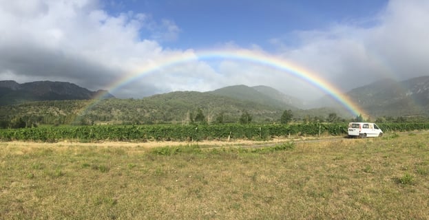 Domaine Blanc Plume_3