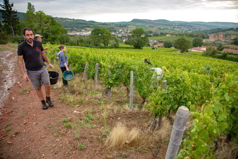 Domaine Coteaux des Margots_3