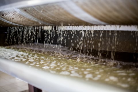 Domaine Coteaux des Margots_4