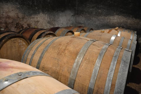 Domaine Coteaux des Margots_5