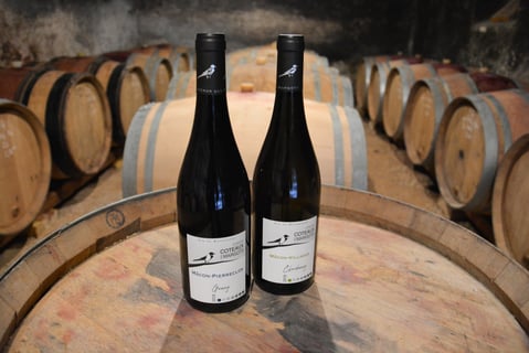 Domaine Coteaux des Margots_6