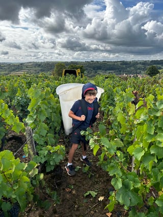 Domaine Demontmerot_3