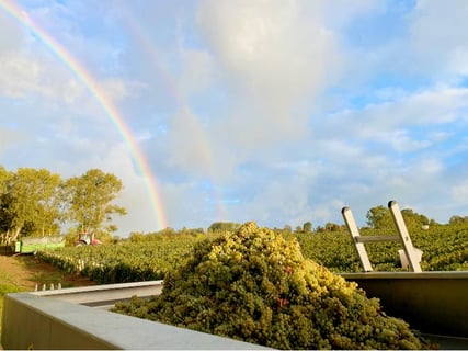 Domaine Demontmerot_6