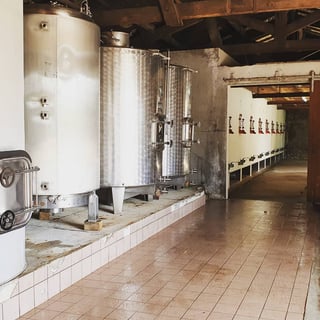 Domaine Haut Ventenac_14