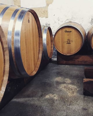 Domaine Haut Ventenac_15